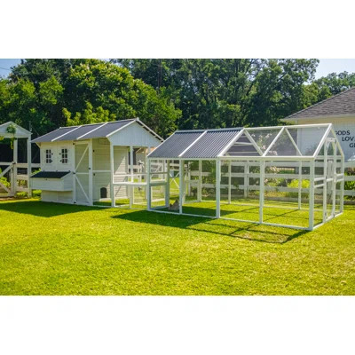 Modern Chicken Barn Coop With Poultry Pen & Coop Connection | Wayfair North America