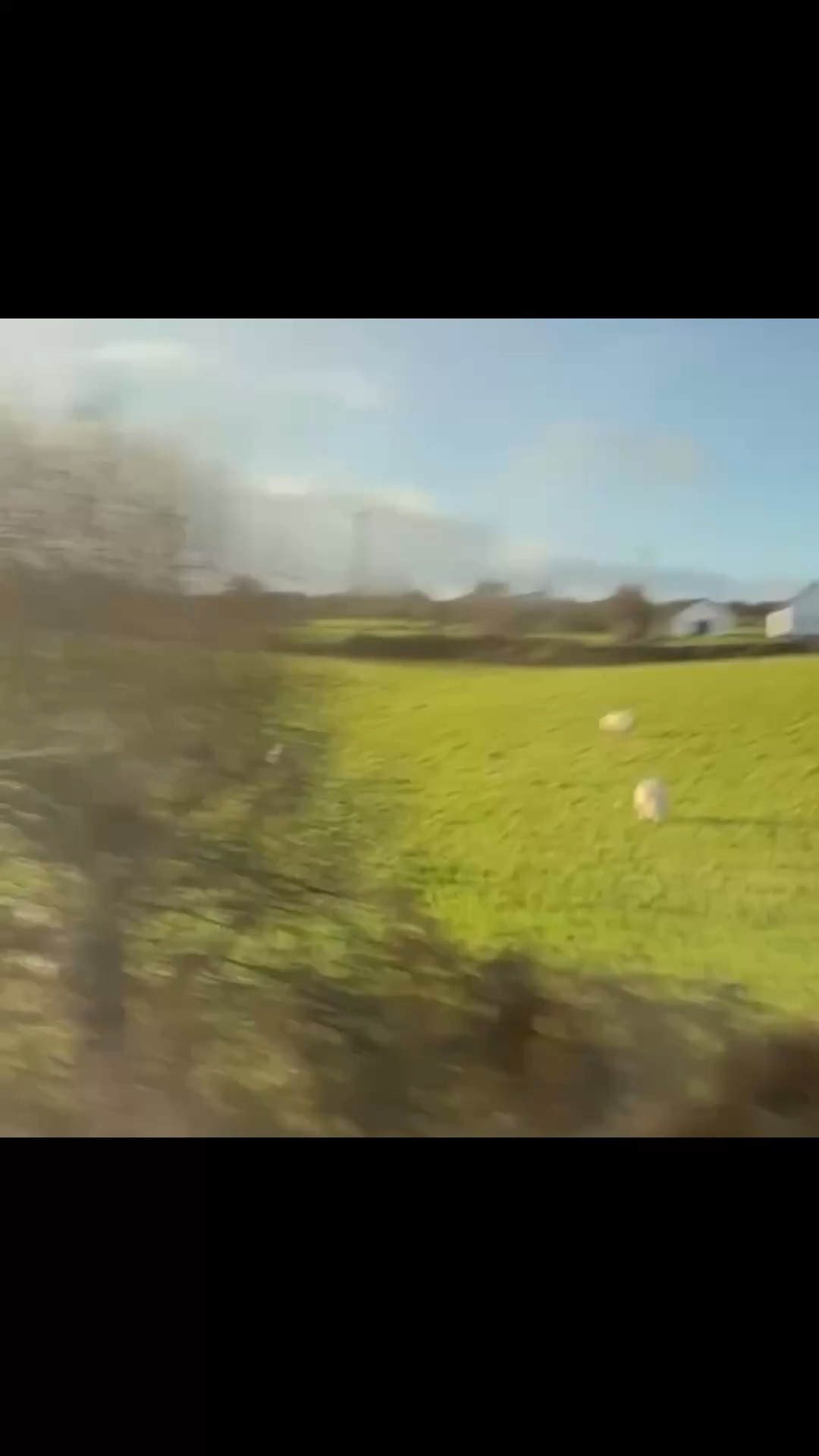 Welcome to Ireland's Cultural Capital....known for its arts scene, music and festivals! I was lucky enough to visit during a cool street festival!
Plan your next Galway trip around these events.... Galway International Arts Festival, Galway Oyster Festival or the Galway Film Fleadh.....
@tourismireland #irelandtravel #exploreireland #pubculture #travelinspo