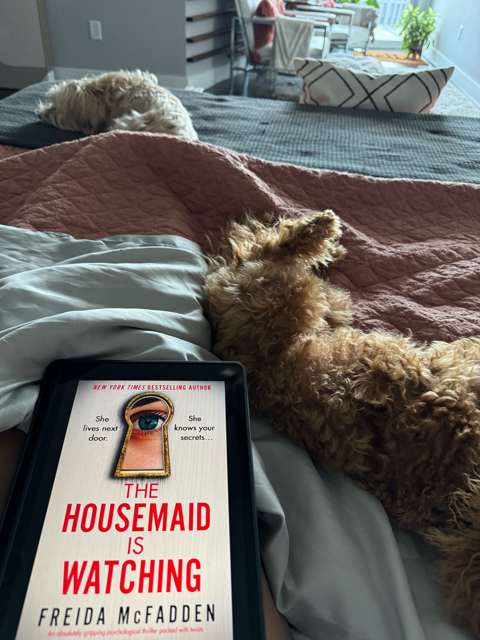 Finished reading the third book in the Housemaid series. Loved the first 2 books in the series. Third book (Housemaid is watching)  isn’t as good as the first two books but was surprising and a good way to end the series. 

#LTKHome