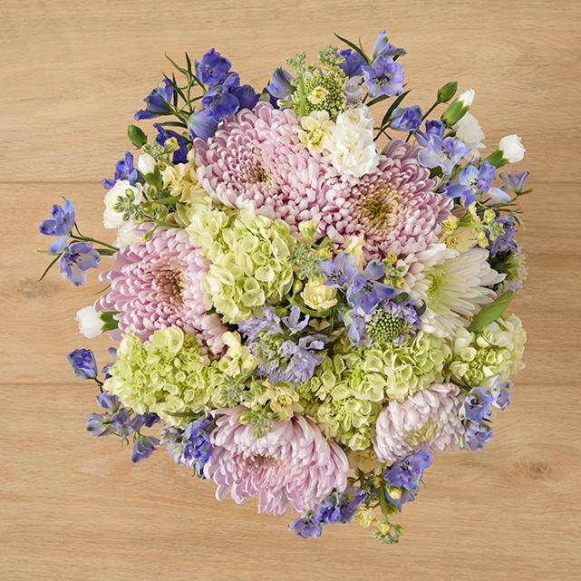 Mixed Arrangement of Pink Cremons, Hydrangea & Delphinium - The Bouqs Co. | The Bouqs Co.