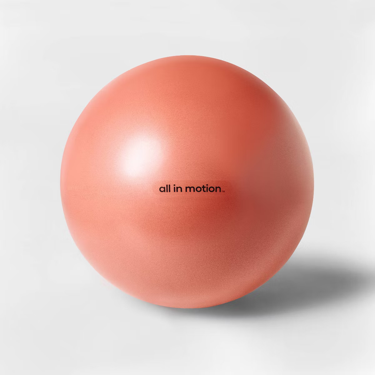 Weighted Stability Exercise Ball - All In Motion™ | Target