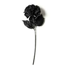 Black Hydrangea Stem by Ashland® | Michaels Stores