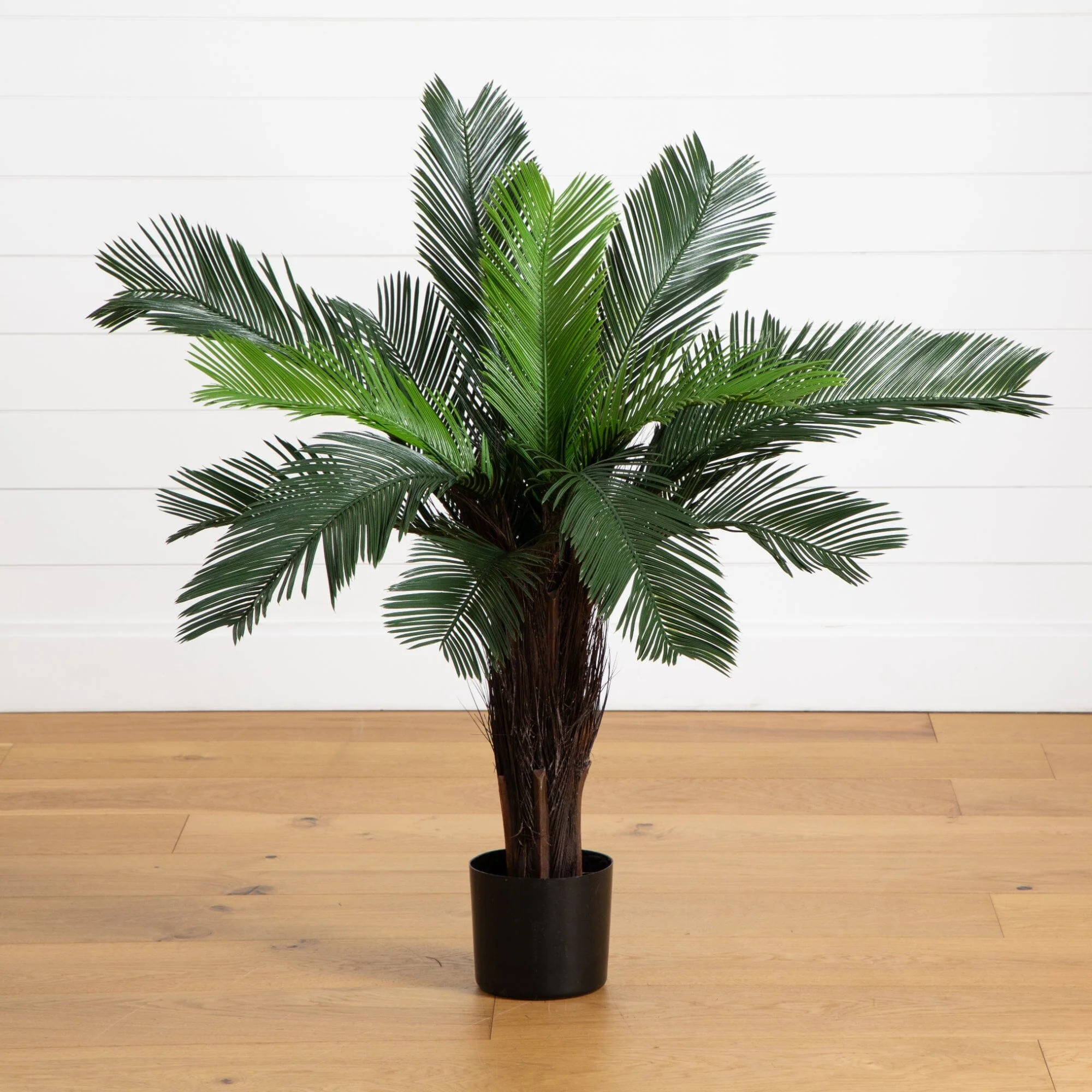 3’ Cycas Tree UV Resistant (Indoor/Outdoor) | Nearly Natural | Nearly Natural