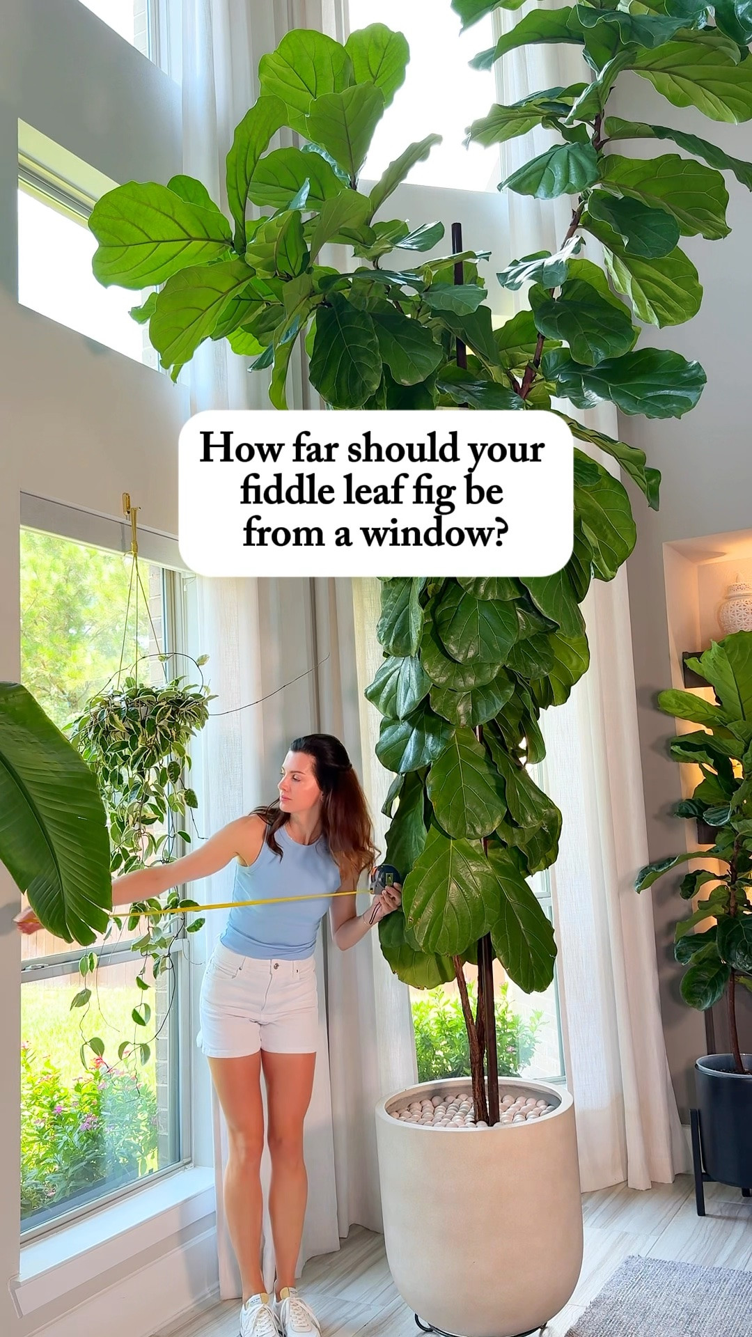 My fiddle leaf fig sits right by a west-facing window, so it gets lots of bright afternoon light. ☀️🌿

Since that afternoon sun can get pretty strong, I use light-filtering blinds to soften the direct sunlight while still keeping the room nice and bright.

Fiddles LOVE light, and they usually do best much closer to a bright window than people realize. If yours isn’t growing the way you’d like, its light might be the first thing to check.

If you’d like my fiddle care routine and a list of what I use to care for mine, comment LIGHT and I’ll send it your way. 🪴

fiddle leaf fig care | fiddle leaf fig lighting | fiddle leaf fig routine | bright indirect light | west facing window | ficus lyrata care

#LTKHome #LTKmorningroutine #LTKActive