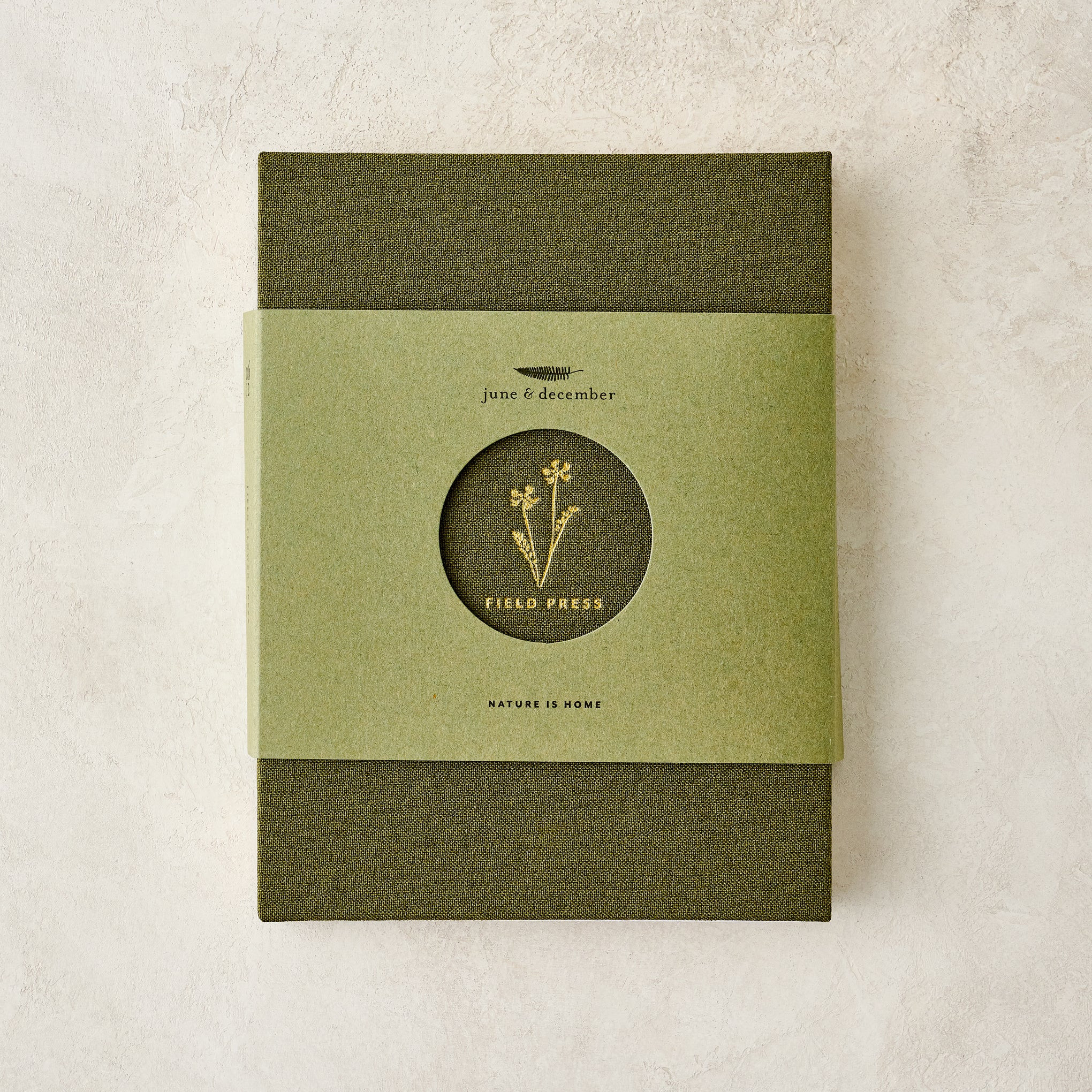 Field Flower Press | Magnolia