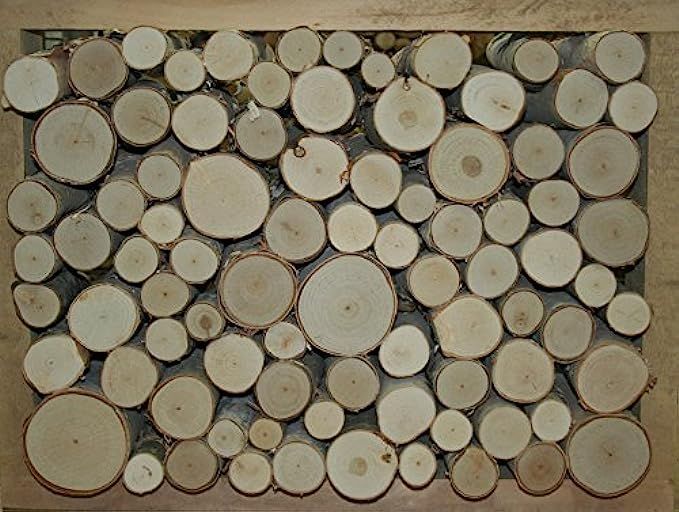 Wilson Enterprises White Birch Fill-A-Space Logs | Amazon (US)