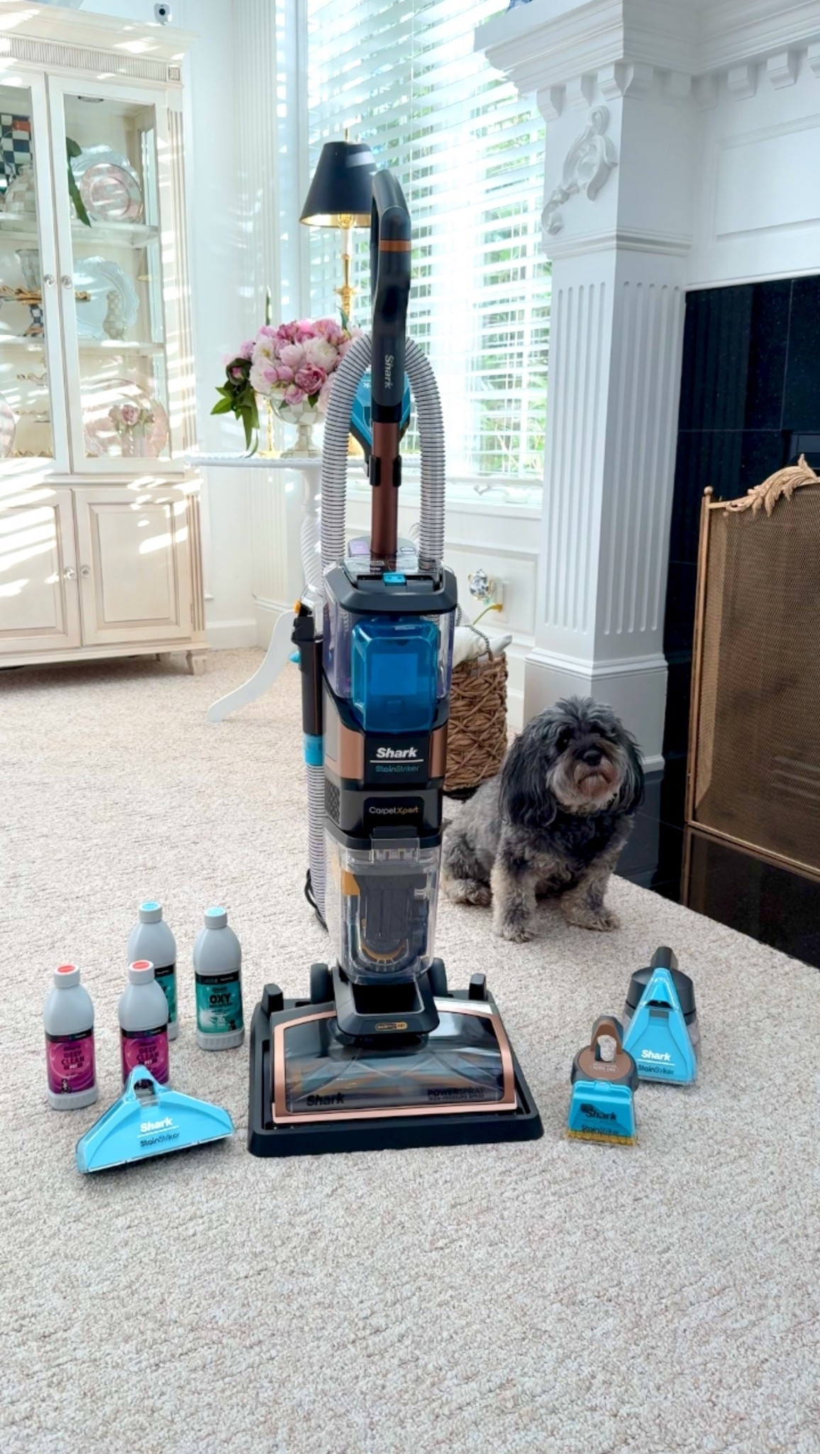 The Shark CarpetXpert HairPro handled every mess—pet hair, stains, and all—with no clogs or tangles. Total game changer! 🙌
@qvc #loveqvc #ad 


#LTKSaleAlert #LTKHome