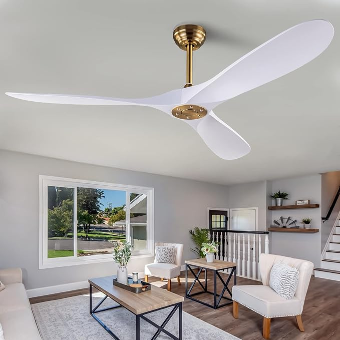 60" Ceiling Fan with Remote Control No Lights,Modern Reversible DC Motor Indoor Outdoor 3 Blades ... | Amazon (US)