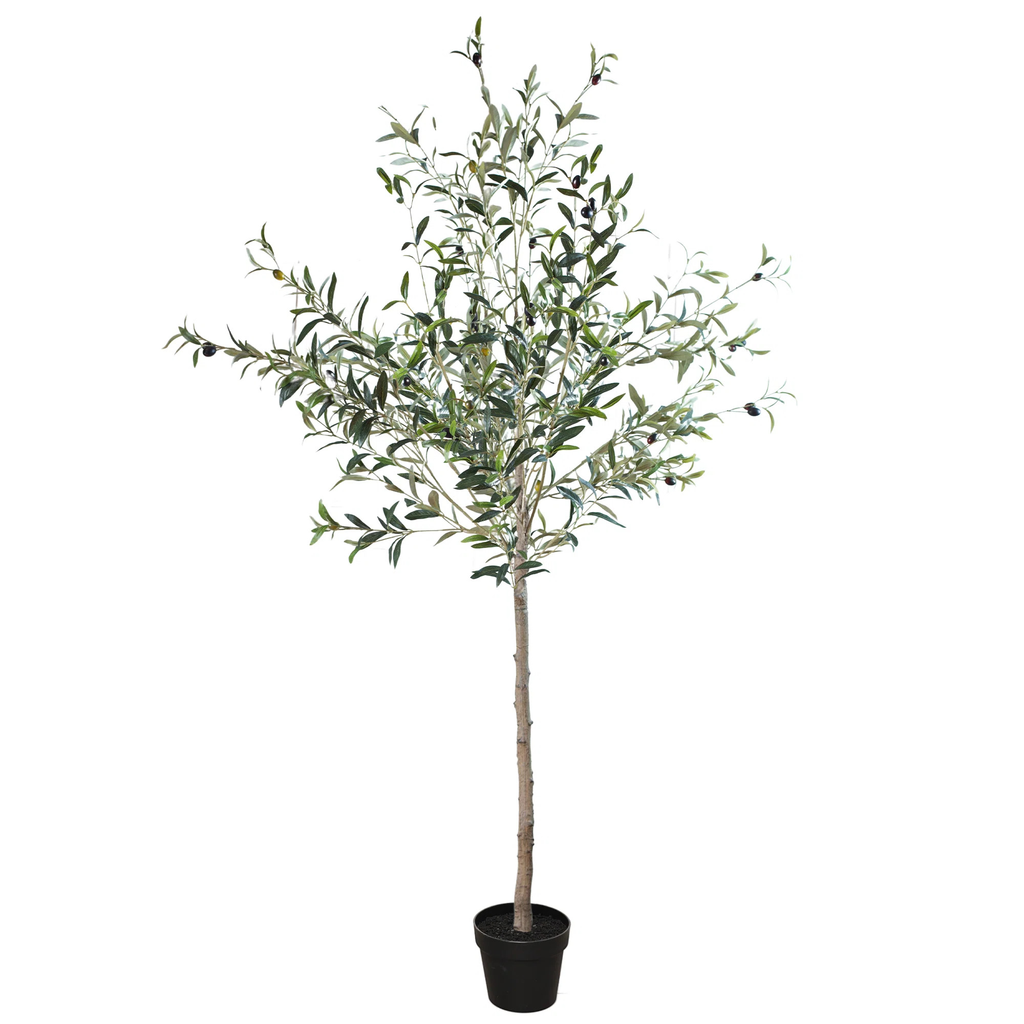Primrue 72" Artificial Olive Tree with Pot and Natural Feel Leaves - Artificial Plants Indoor/out... | Wayfair North America