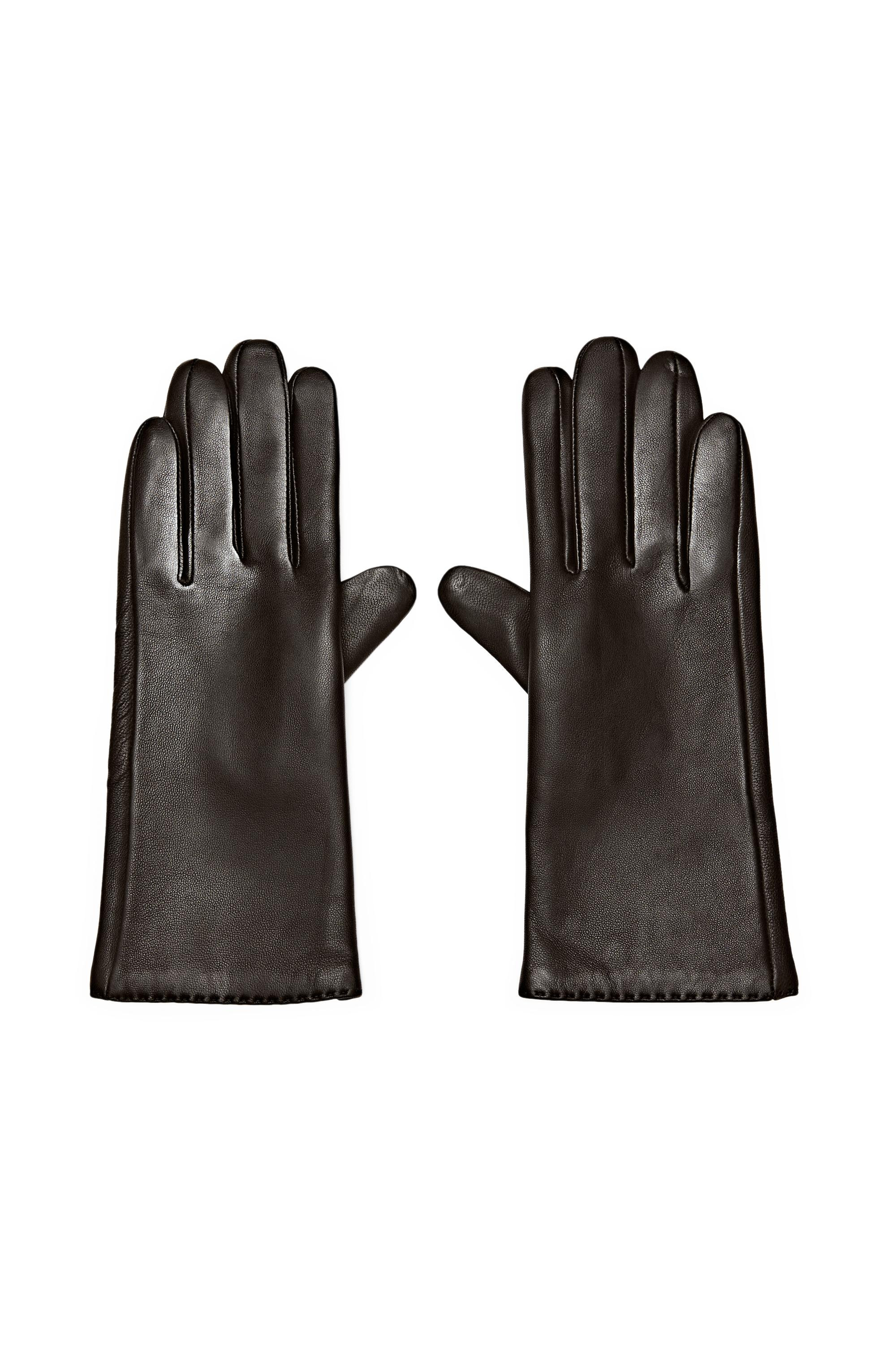 Nappa leather gloves | Massimo Dutti US