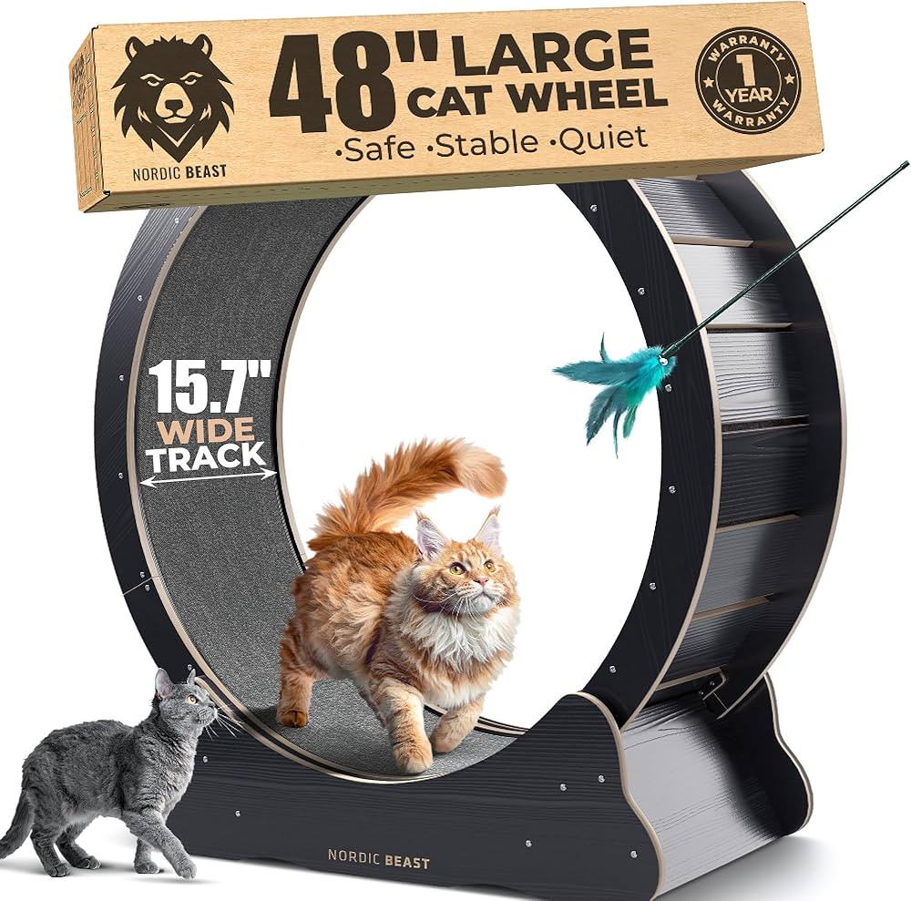 48'' XL Cat Wheel – Safe, Quiet & Stable Exercise Wheel for Large Indoor Cats up to 45 lbs – ... | Amazon (US)