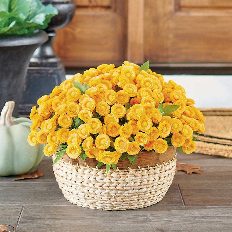 Mum Urn Filler Small | Grandin Road | Grandin Road