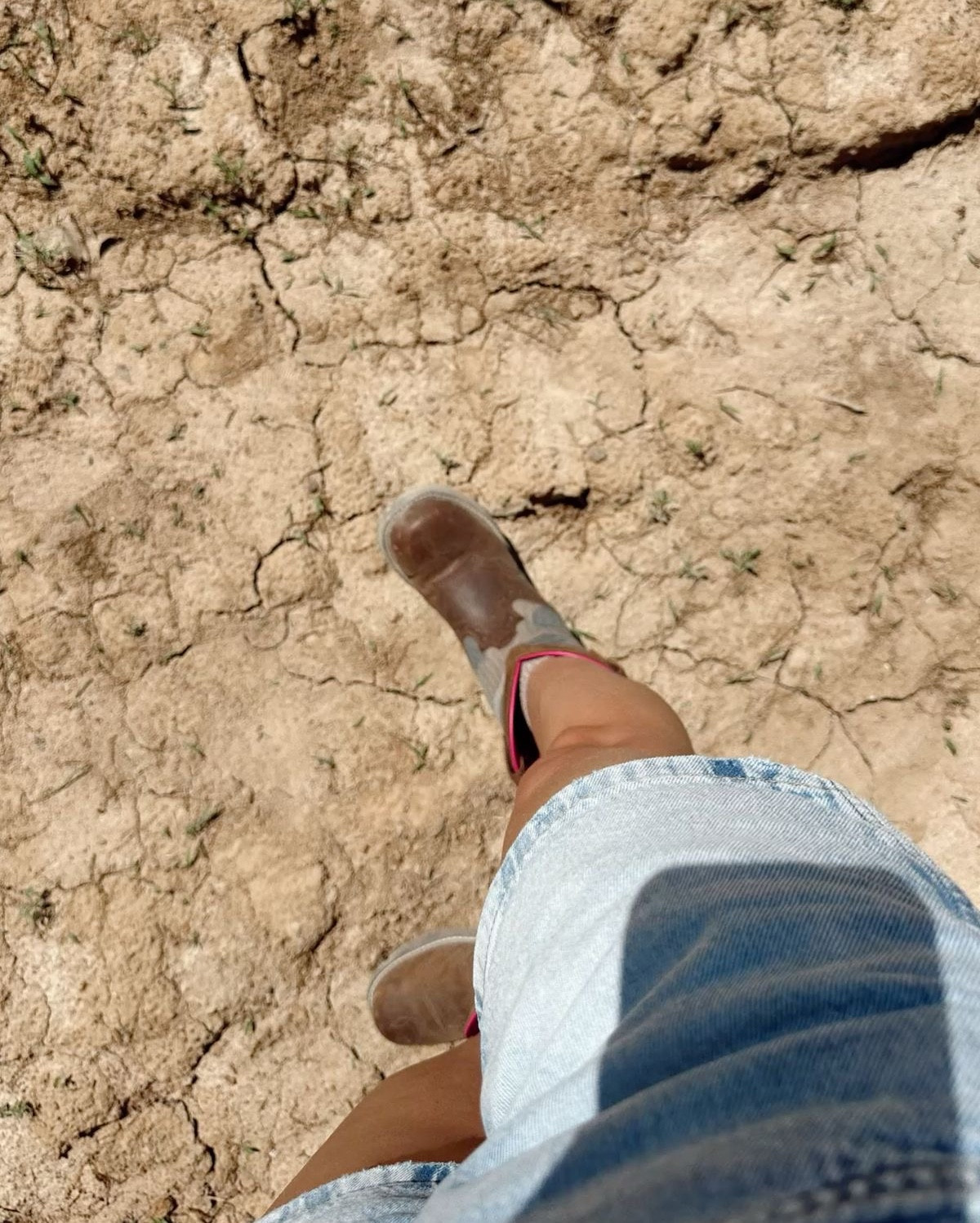 My favorite cowgirl work boots 🤠 Durable, comfy, and actually affordable — under $100! Perfect for chores, riding, or everyday ranch wear. Linked them for y’all on LTK! 🐴👢 #FarmFit #CowgirlStyle #AffordableBoots

affordable, durable, sturdy, comfy, practical, western-inspired, everyday wear, functional, rugged, hardworking, under $100

#CowgirlStyle #FarmChores #WesternWear #HomesteadLife #FarmOutfit #WorkBoots #AffordableFashion #RanchStyle #CowgirlOOTD #LTKFinds #LTKUnder100 #WesternVibes #BootsOnTheGround #CountryStyle #RanchLifeReady



#LTKWorkwear #LTKActive #LTKSummerEdit