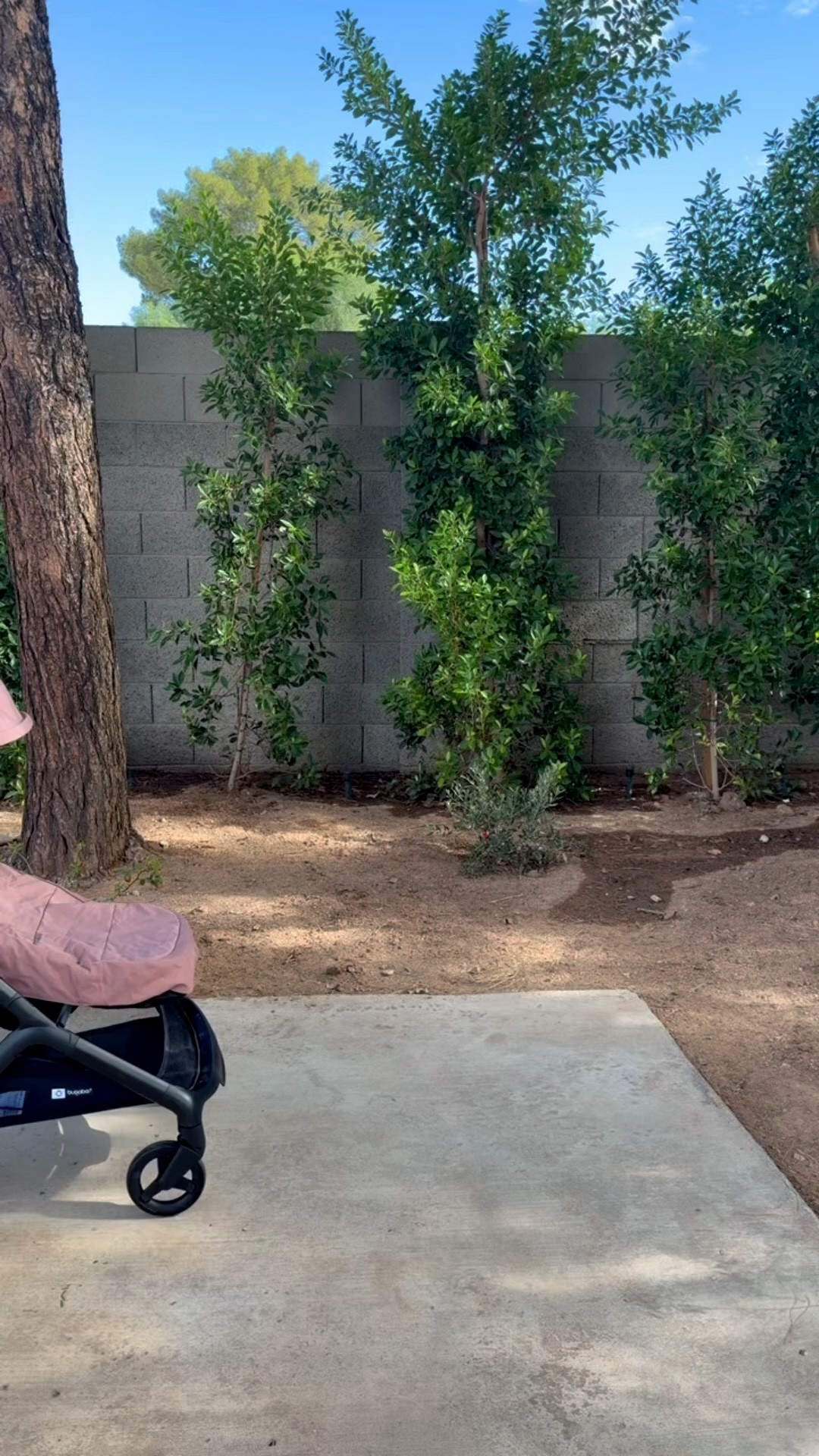 The Bugaboo Butterfly 2 has so many amazing features!

🦋 newborn recline 
🦋 tall, upright seat 
🦋 compact fold 
🦋 weighs only 16 lbs
🦋 great storage basket
🦋 carry strap