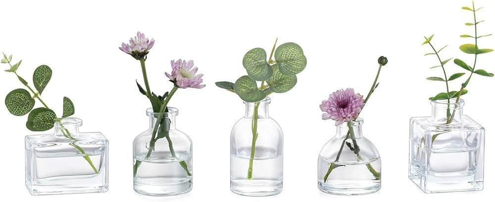 Glasseam Small Glass Bud Vases: Mini Clear Vases for Centerpieces Cute Flower Vase Set of 5 Tiny ... | Amazon (US)