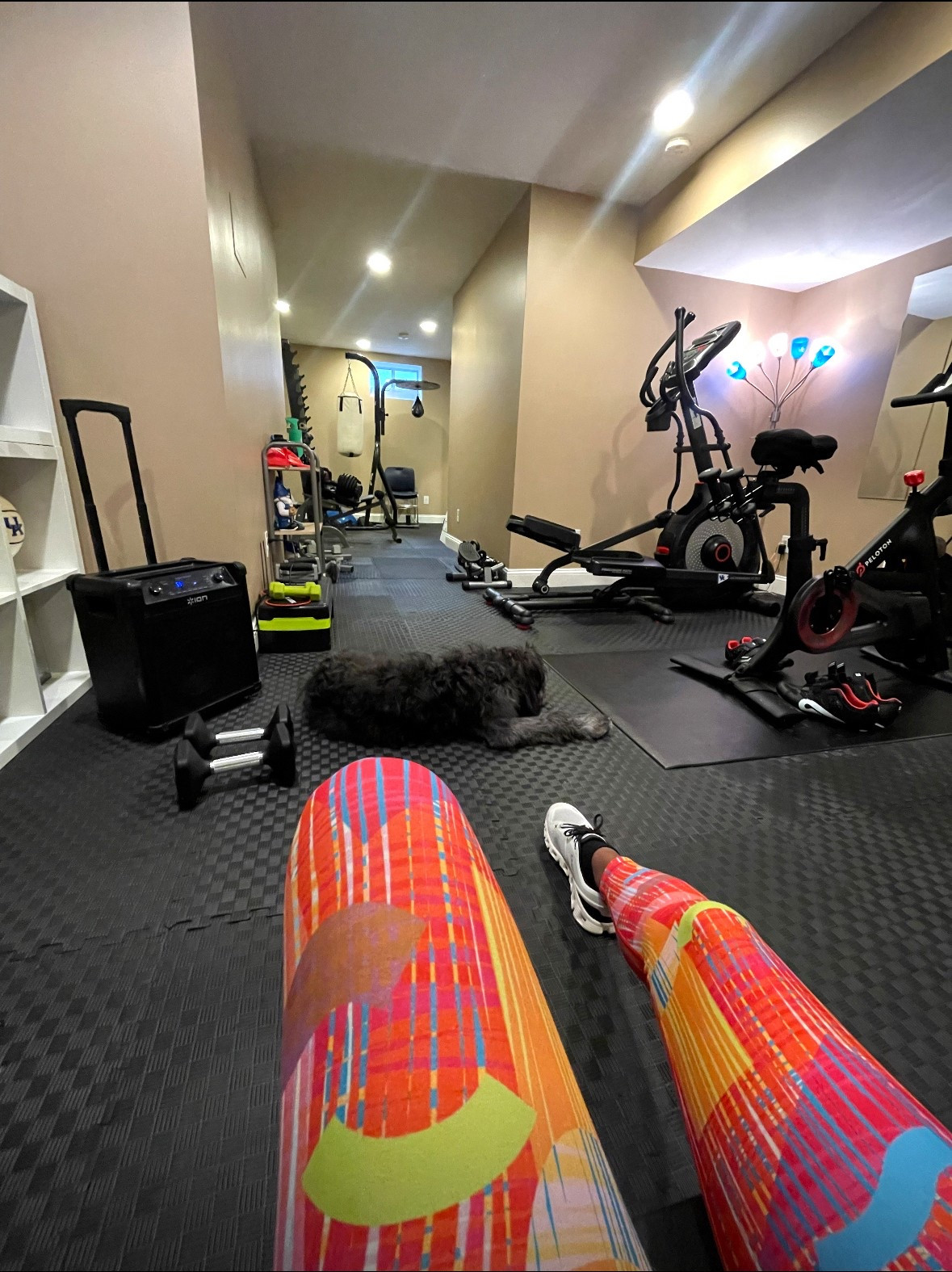 This room had zero purpose… until 2020 changed everything. 🏋️‍♀️😅

When the world shut down, we turned our oddly shaped, unused bonus room into the best thing we never knew we needed—a full-blown home gym 🙌🏼

What started as a carpeted catch-all quickly became our favorite space to sweat, stretch, and stay sane. We added:
✔️ Rubber gym flooring
✔️ Peloton Tread + Bike
✔️ Free weights + Elliptical
✔️ Mirrors, storage, and all the good vibes

Looking back, this was one of the best DIY remodels we tackled—and proof that even the most random spaces can be reimagined with intention and a little elbow grease 💪🏼

If you’ve been eyeing that unused guest room, awkward loft, or “what do we do with this?” nook… this is your sign 👀

📌 SAVE this for your next DIY inspo

#HomeGymGoals #DIYHomeGym #BeforeAndAfterHome #HomeRenoIdeas  
#BonusRoomMakeover #RealLifeReno #QuarantineProject #HomeGymInspo  
#RubberFlooring #PelotonHomeGym #HallSweetHome #CoastalHomeStyle  
#FunctionMeetsStyle #SmallSpaceBigImpact


#LTKSaleAlert #LTKHome