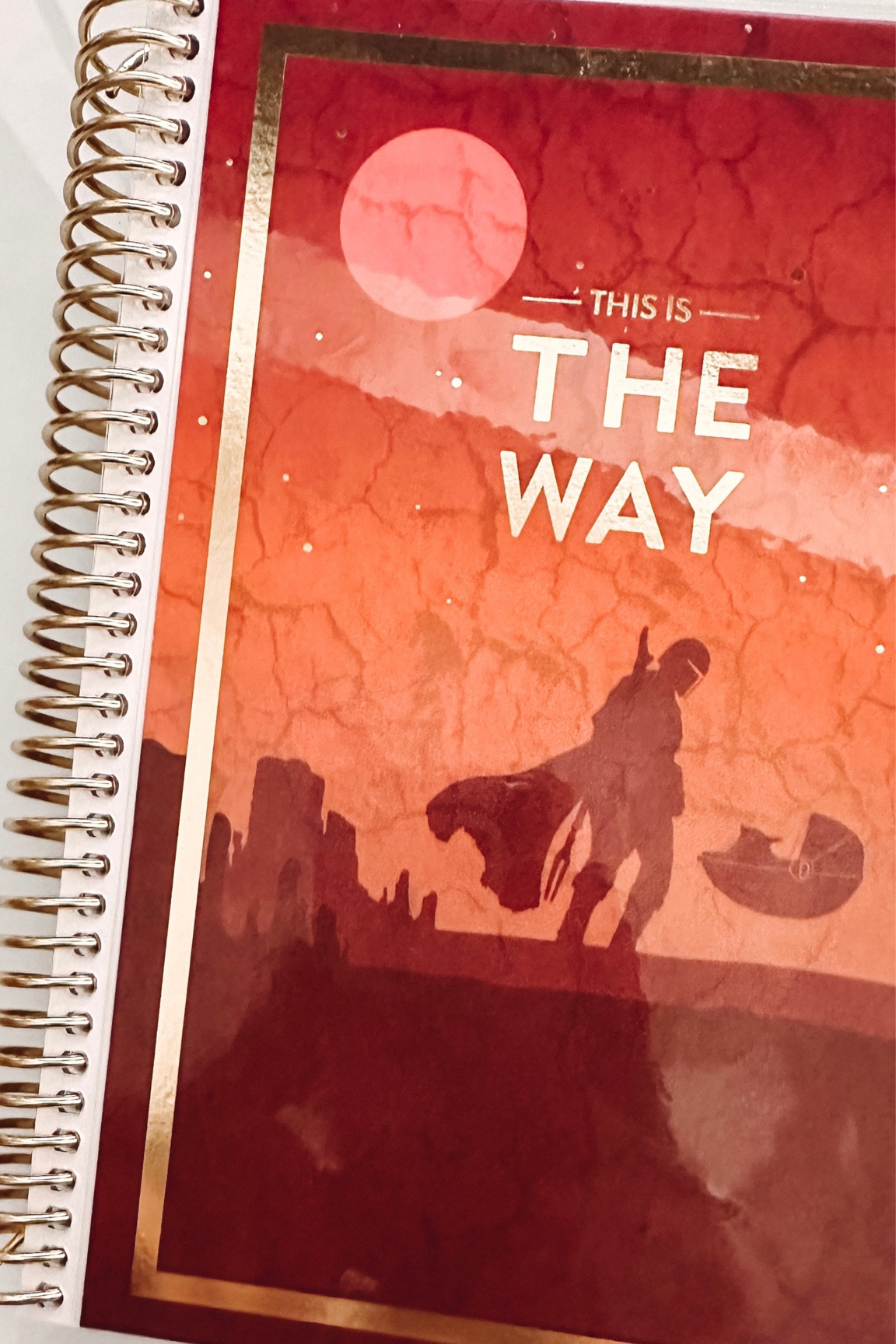 Yesterdays Erin condren haul ♥️

#LTKU #LTKfamily #LTKunder50