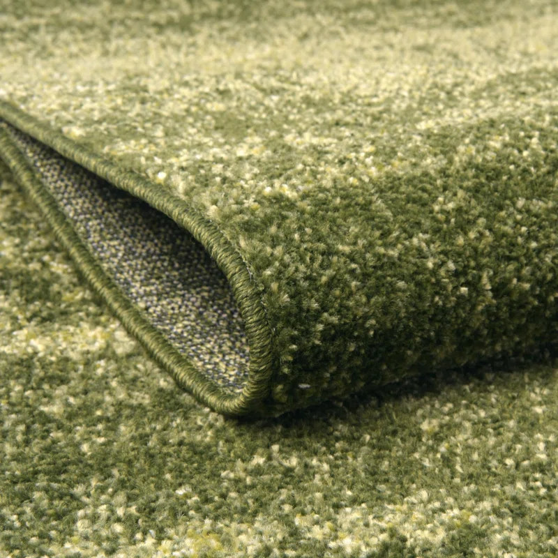 Roshaun Green Area Rug | Wayfair North America