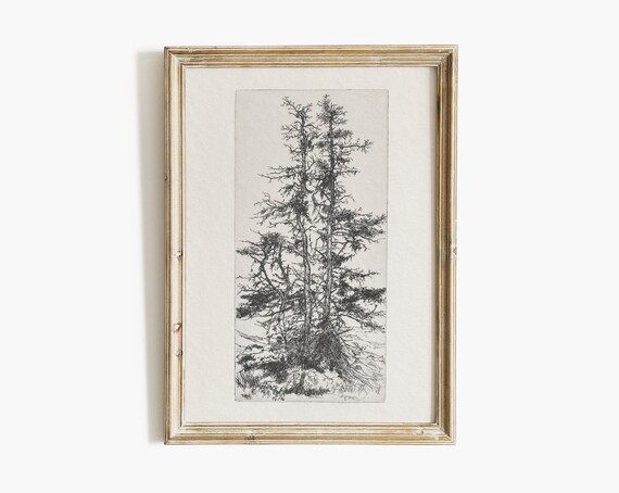 Antique Pine Tree Sketch  Vintage Nature Drawing  Rustic | Etsy | Etsy (US)