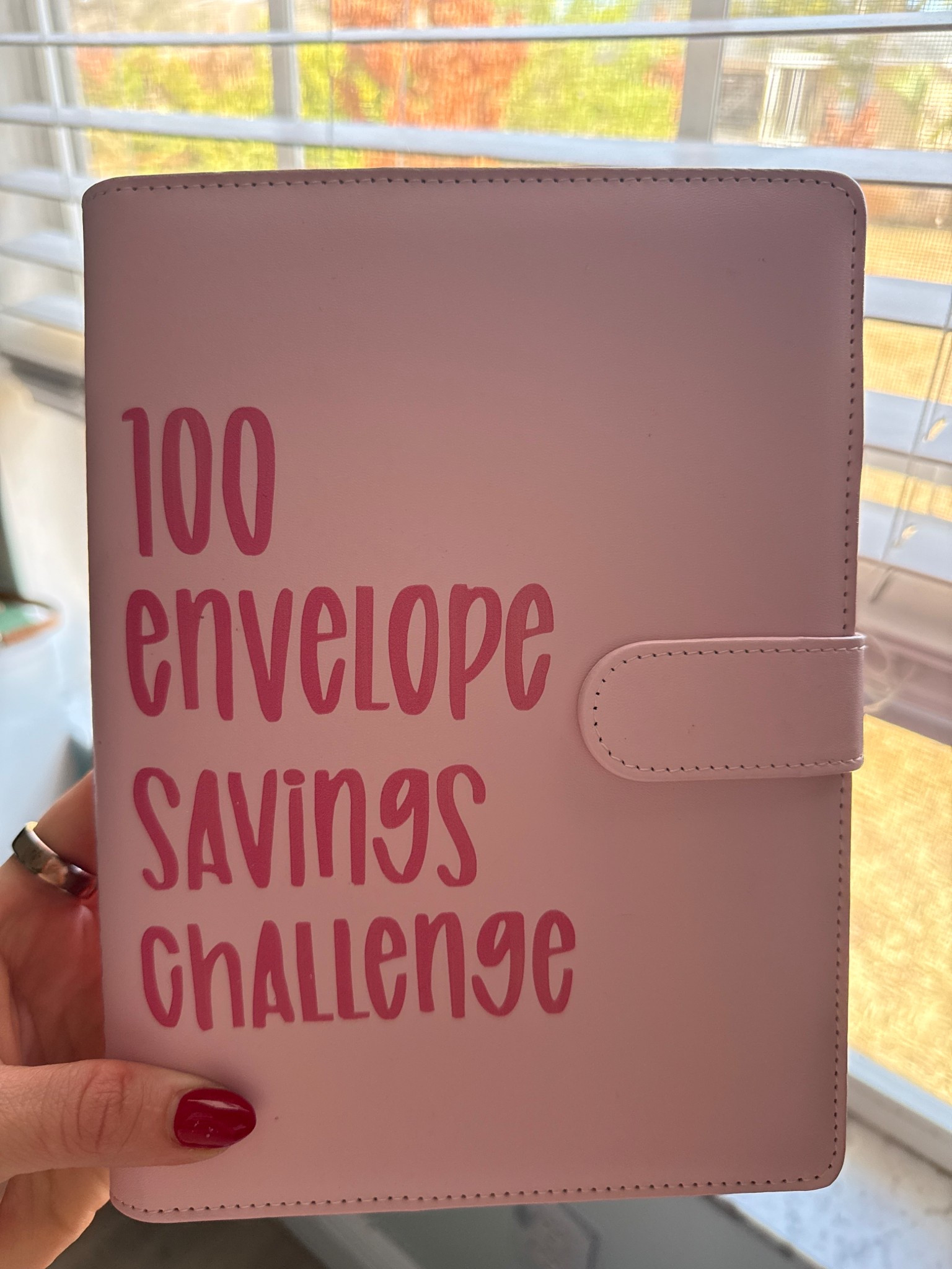 My favorite savings book! 

#LTKHome