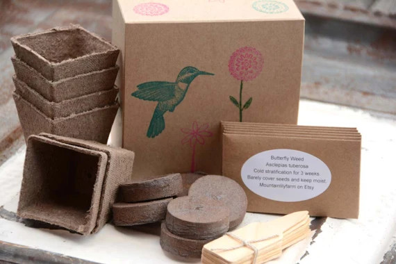 Hummingbird Garden Kit, 6 Flower Seed Varieties for Hummingbirds, Great Gift for Gardener or Gift... | Etsy (US)