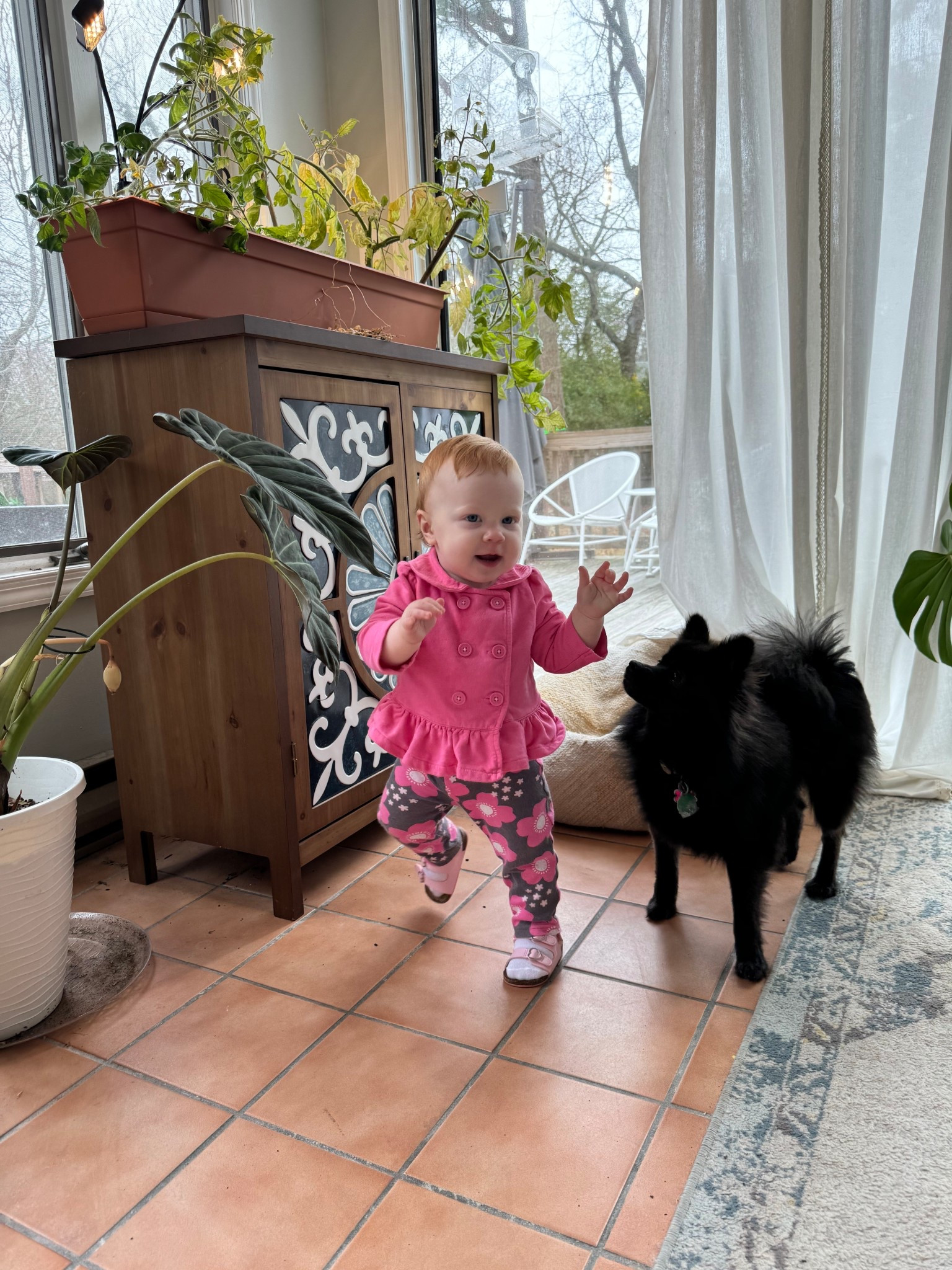 Cabinet linked here 👇🏼


#LTKHome #LTKFamily #LTKActive