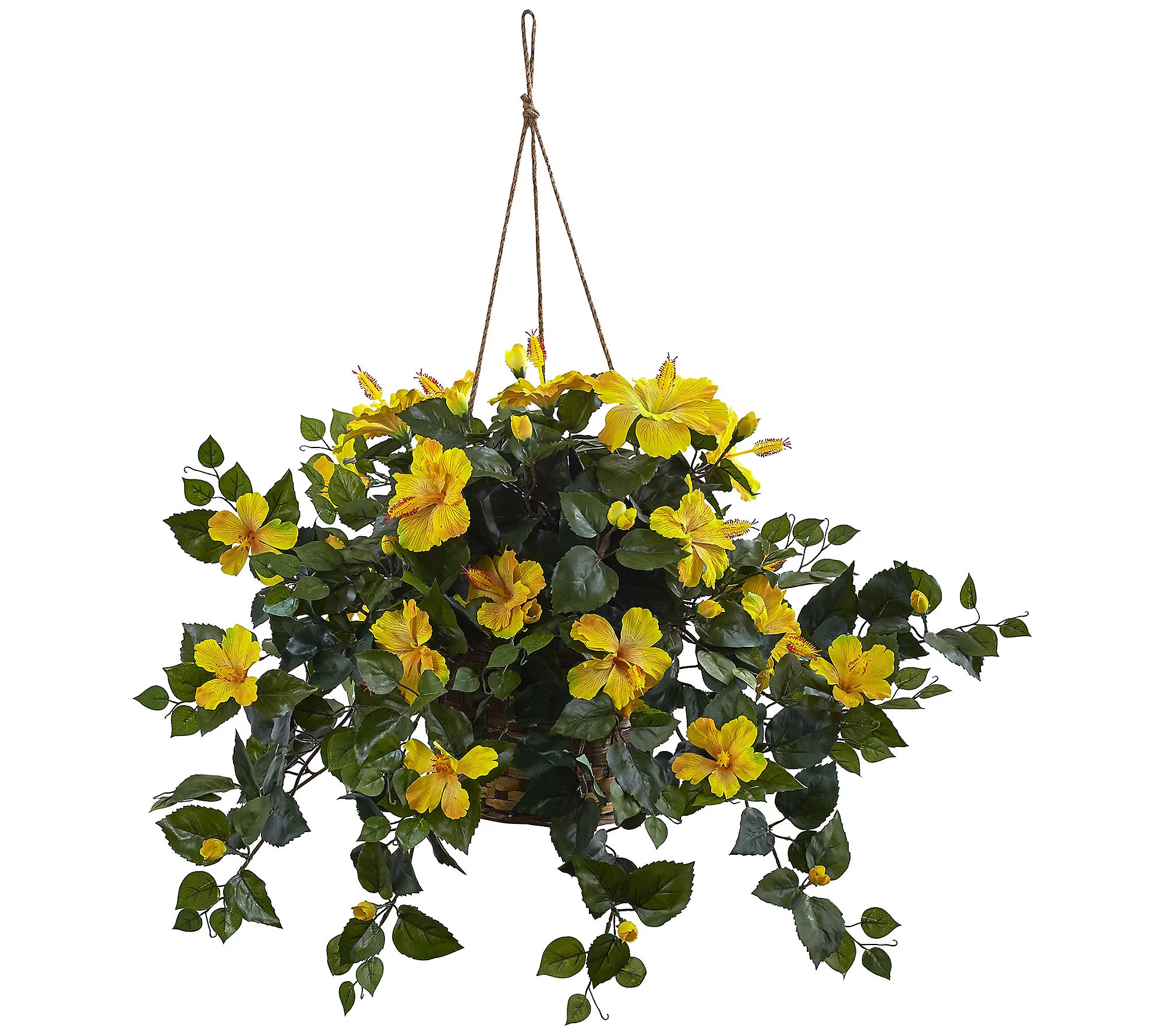 Hibiscus Hanging Basket by Nearly Natural | QVC