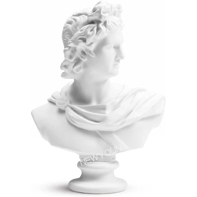 Sheree Michelangelo David Head Bust Greek Statue | Wayfair North America