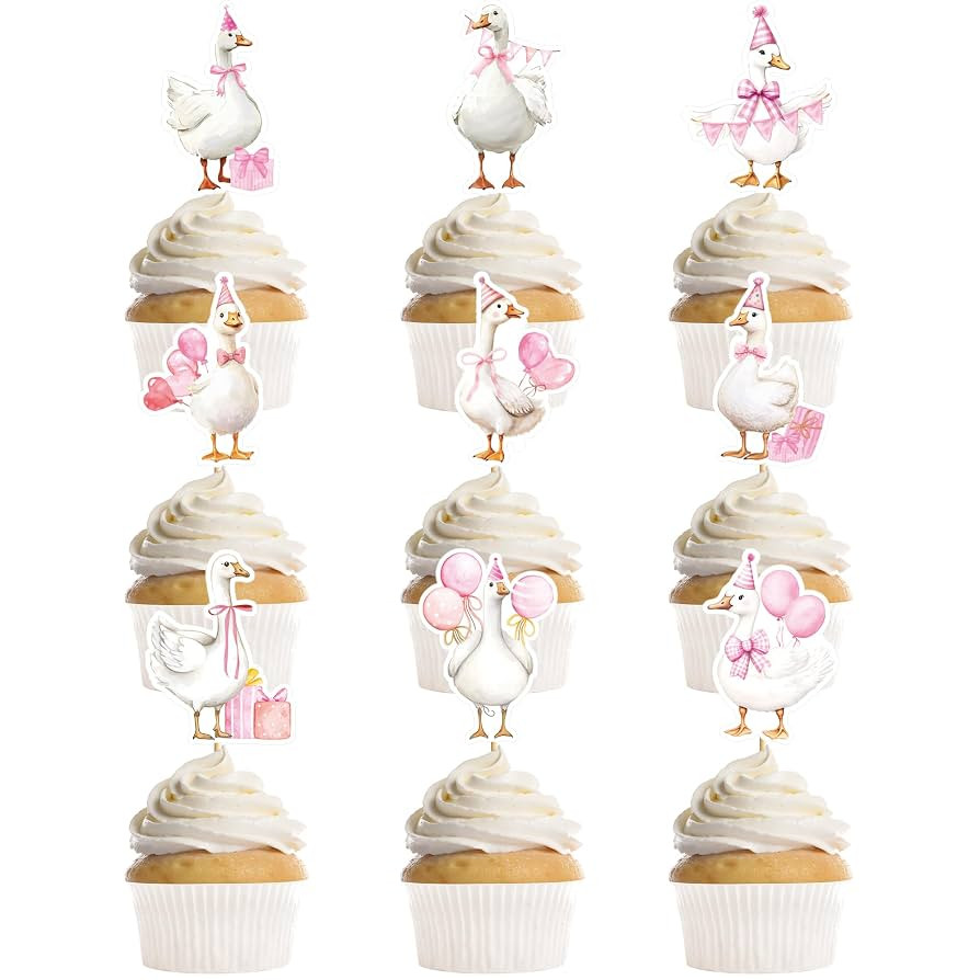 36 Pcs One Funny Goose Birthday Decor for Girls, Cute Pink Goose Themed Cupcake Toppers, Fun Farm... | Amazon (US)