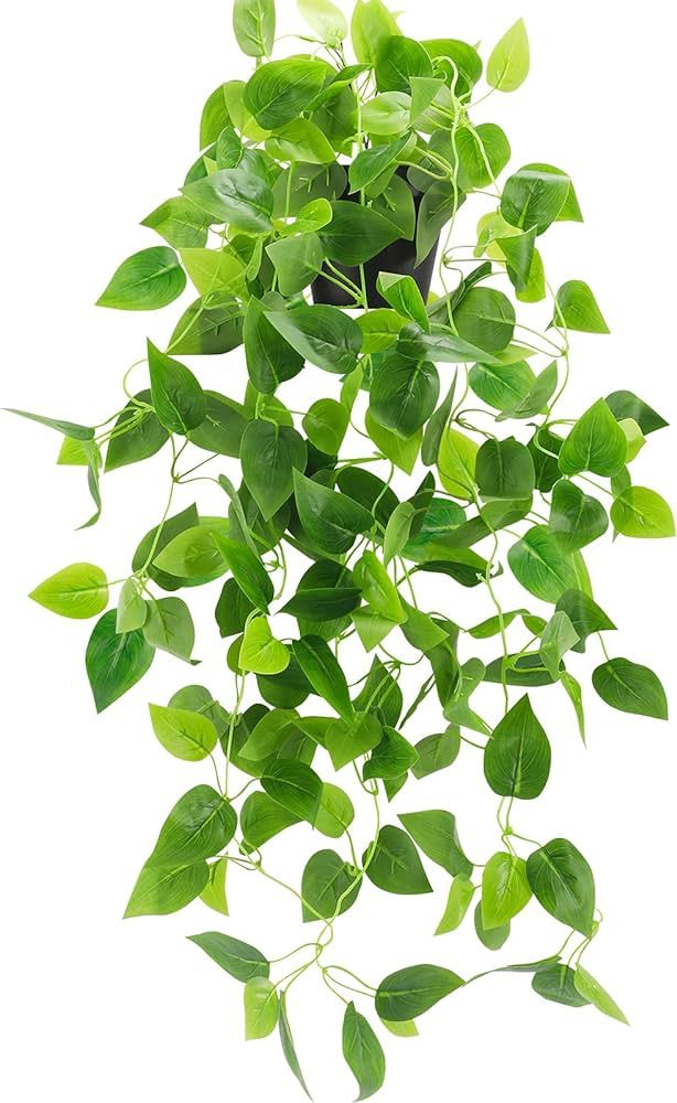 WXBOOM Small Fake, Artificial Potted Plant Faux Ivy Vine Plant Hanging Plant Pothos for Shelf Hom... | Amazon (US)