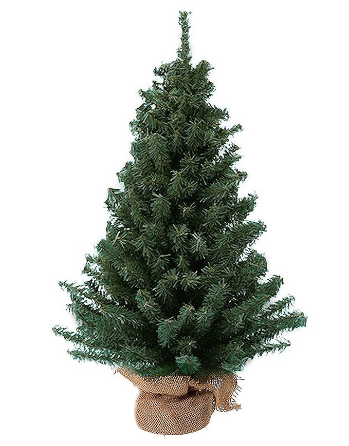 Kurt Adler 12 Miniature Pine Tree | Amazon (US)