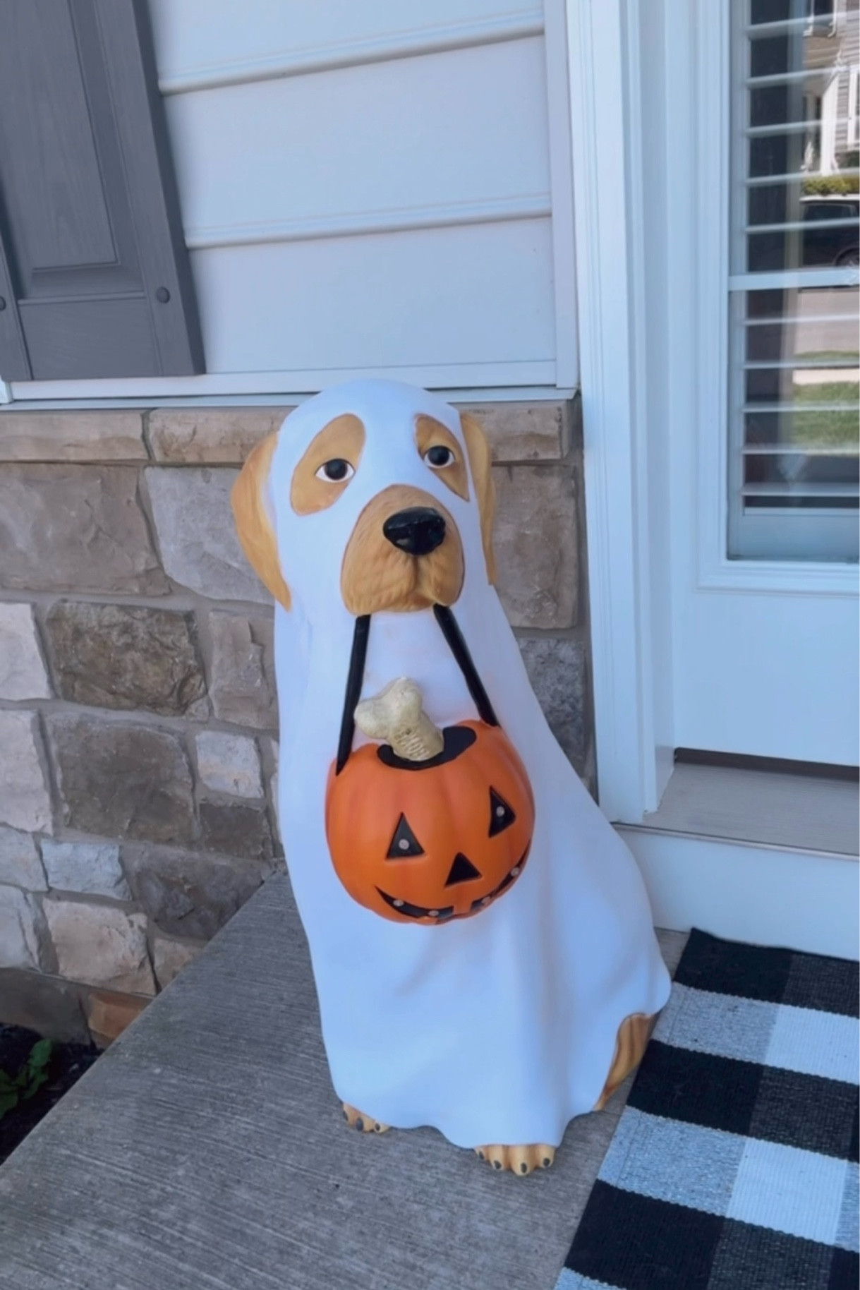 Viral Ghost Dog👻

#LTKHome #LTKSeasonal #LTKFallSale