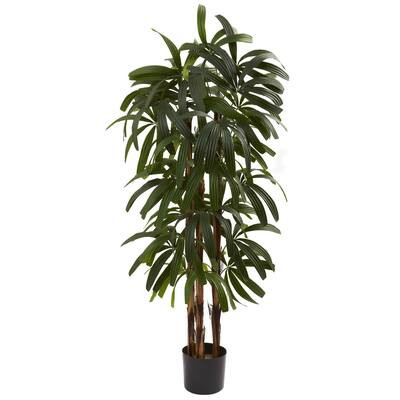 Buy Artificial Plants Online at Overstock | Our Best Decorative Accessories Deals | Bed Bath & Beyond
