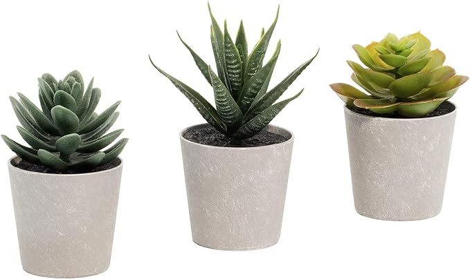 Artificial Succulents Set of 3 Mini Realistic Fake Plants with Plastic Pots for Home and Office D... | Amazon (US)