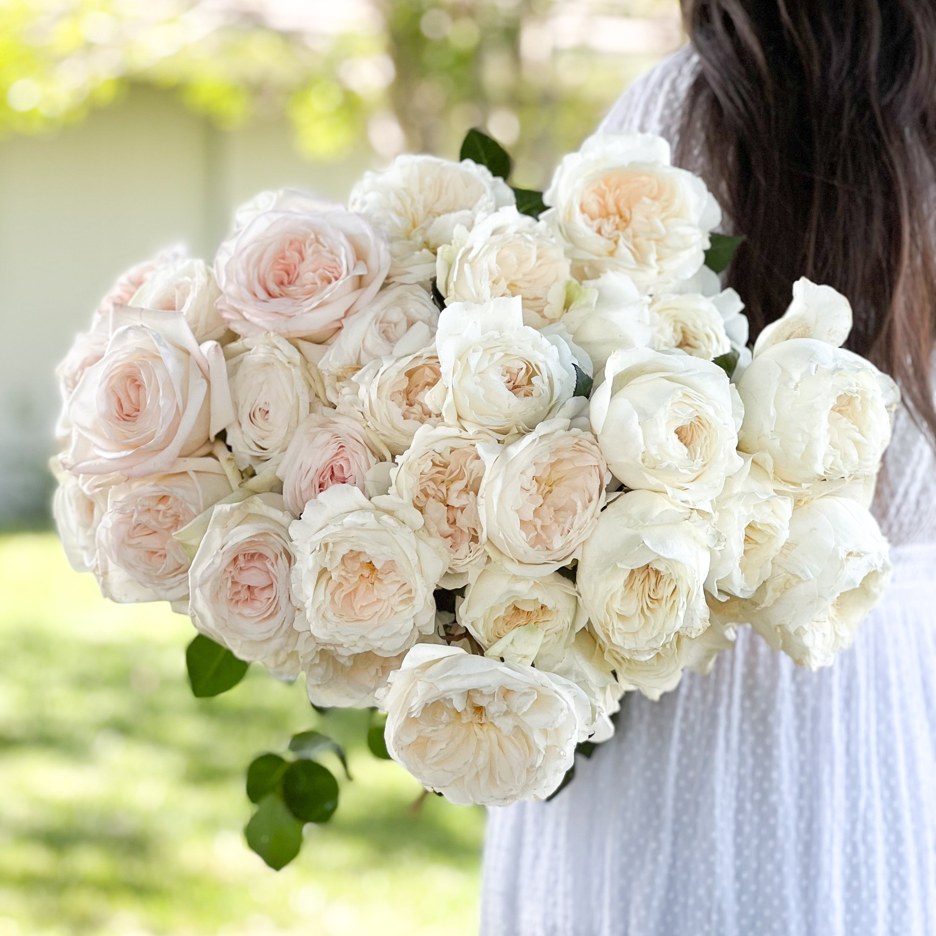 White Garden Rose Bundle | grace rose farm