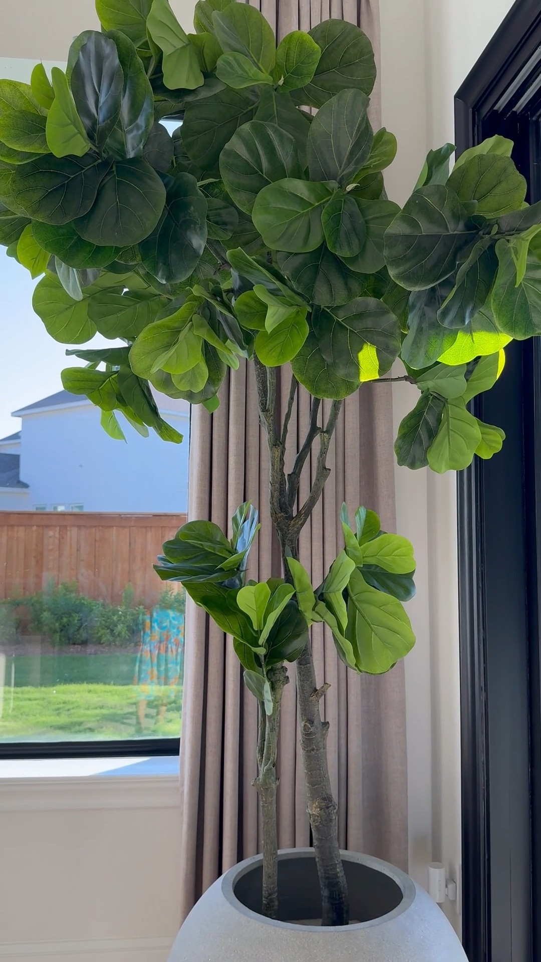 Hey friend! I’ve linked my fiddle tree and planter as well as simple planters! 🤍🫶🏽🤍

#LTKVideo 

#LTKStyleTip #LTKHome