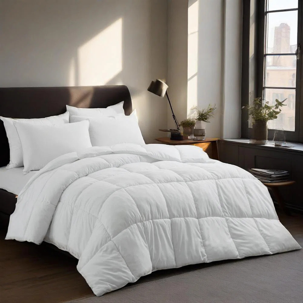 Wayfair Sleep™ Wayfair Sleep Lightweight Down Alternative Comforter & Reviews | Wayfair | Wayfair North America
