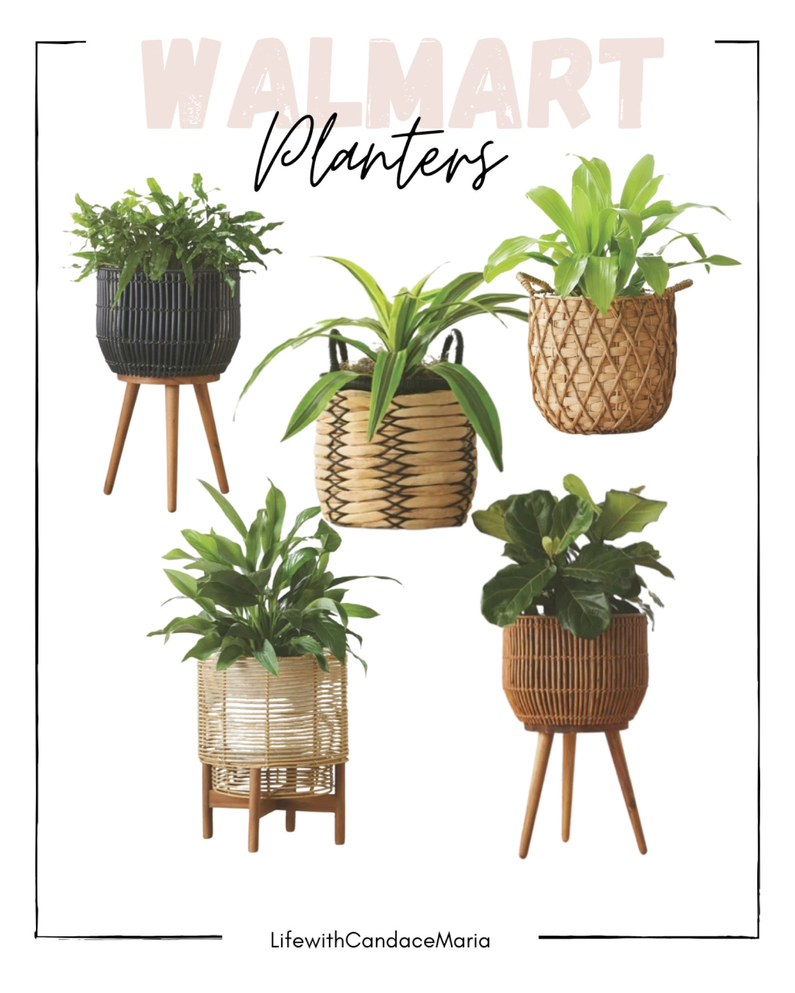 New Walmart Finds. Walmart Planters. Spring Finds. Walmart Spring. Spring planters. 

#LTKunder50 #LTKhome #LTKstyletip