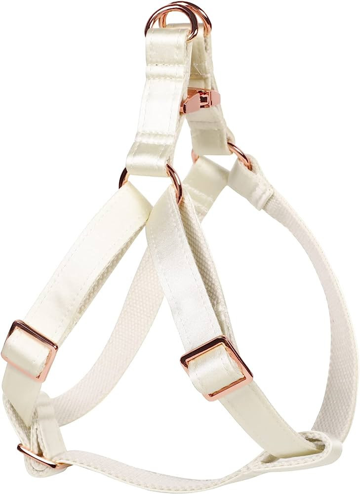 Lionet Paws Dog Harness, No-Pull Adjustable Silk Nylon Webbing Pet Harness with Metal Buckle for ... | Amazon (US)