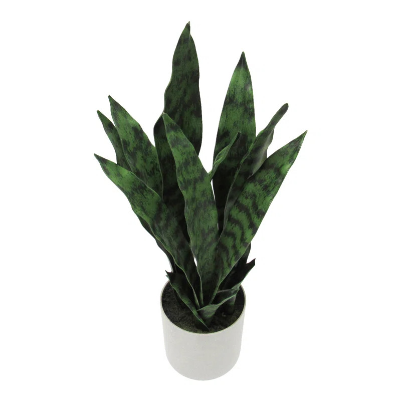 Artificial Sansevieria Snake Plant in Pot | Wayfair North America