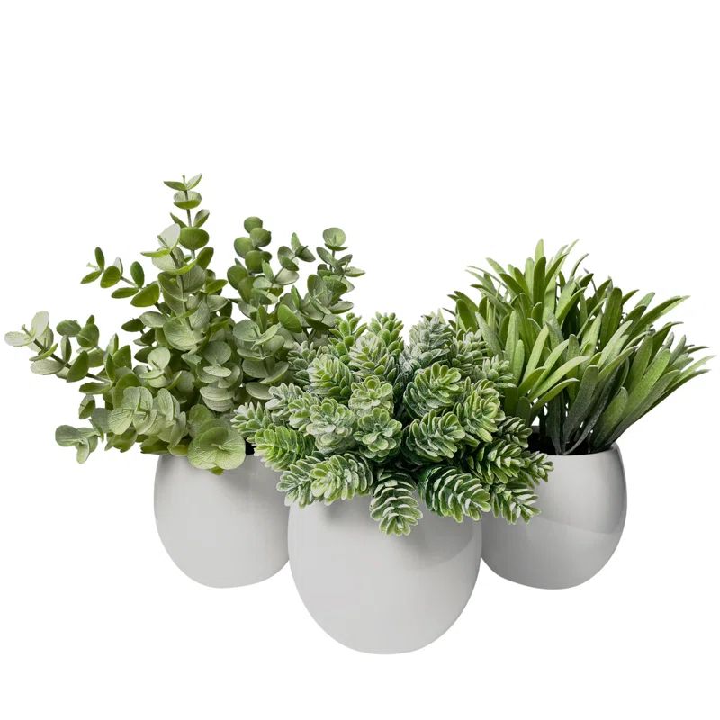 Digby Artificial Plant in White Pot Set (Set of 3) | Wayfair North America