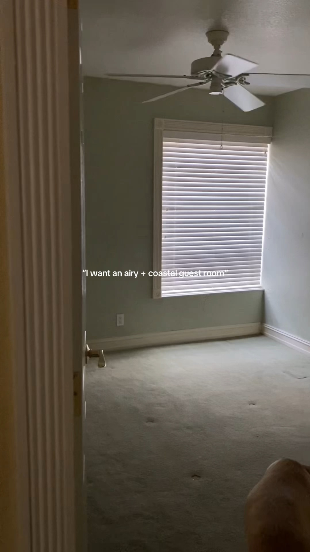 Guest bedroom, home decor, bedroom decor, home design, coastal decor, bedsure bedding, amazon home finds, affordable home decor

#LTKFindsUnder50 #LTKHome #LTKFindsUnder100