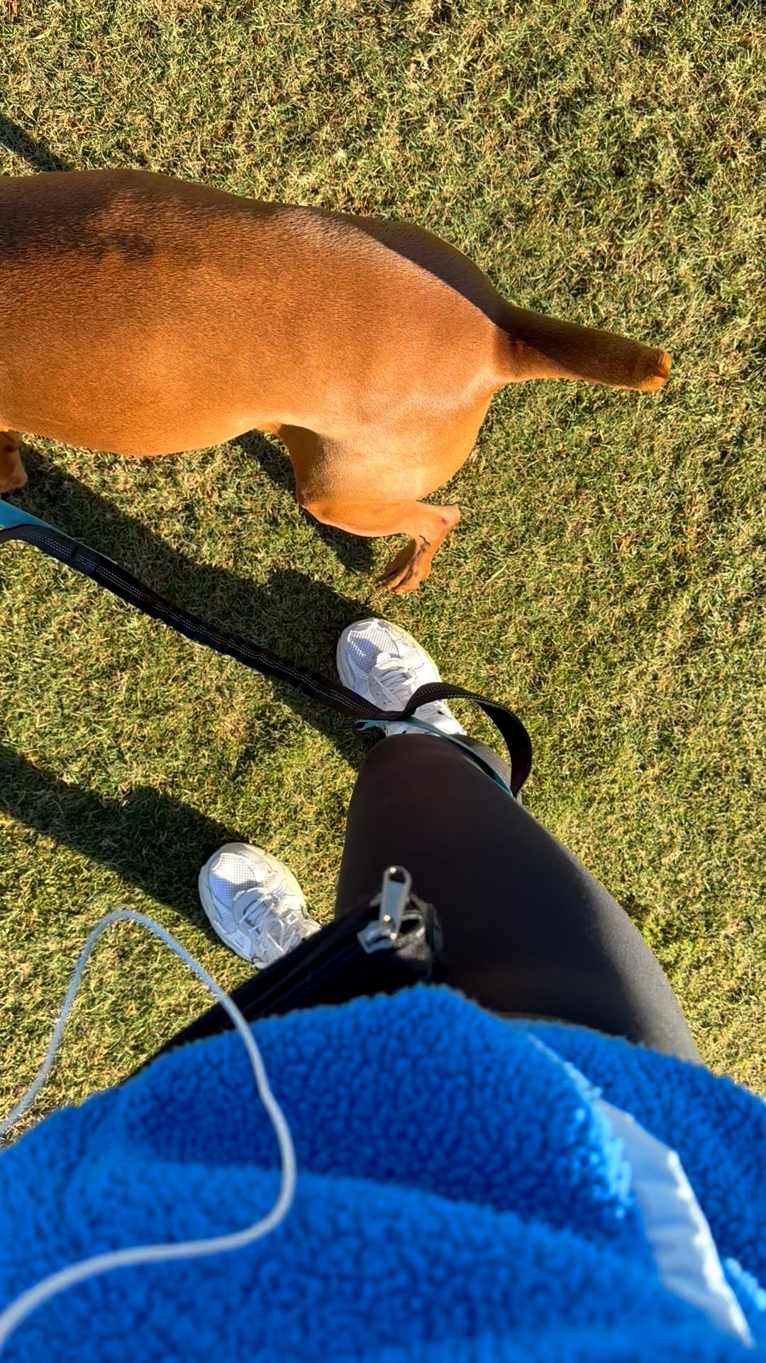 Mom walk essentials 

#LTKKids #LTKPets #LTKBaby