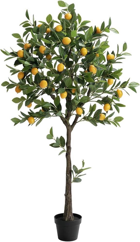 5ft Tall Artificial Lemon Tree with Fake Lemons Floor Plants Artificial for Decor Realistic to In... | Amazon (US)