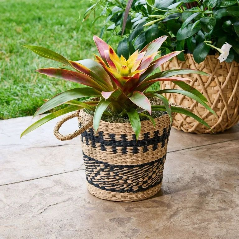 Better Homes & Gardens Emmett Basket Planter | Walmart (US)