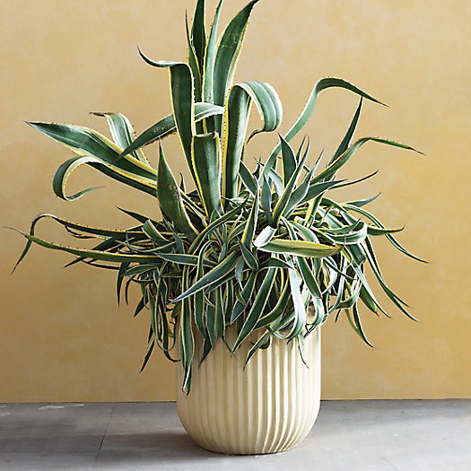 Fiber Concrete Barrel Pot | Terrain