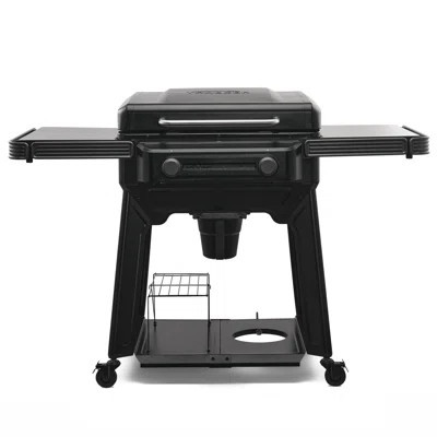 Traeger Flatrock 2 Zone Griddle | Wayfair North America
