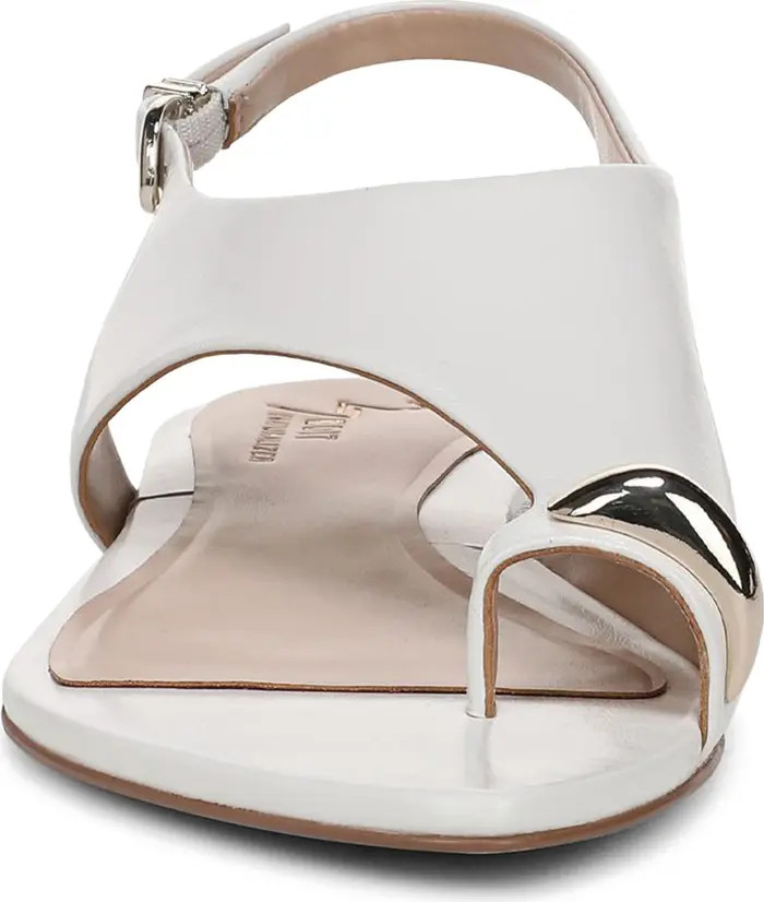 27 EDIT Naturalizer Via Slingback Pointed Toe Sandal (Women) | Nordstrom | Nordstrom