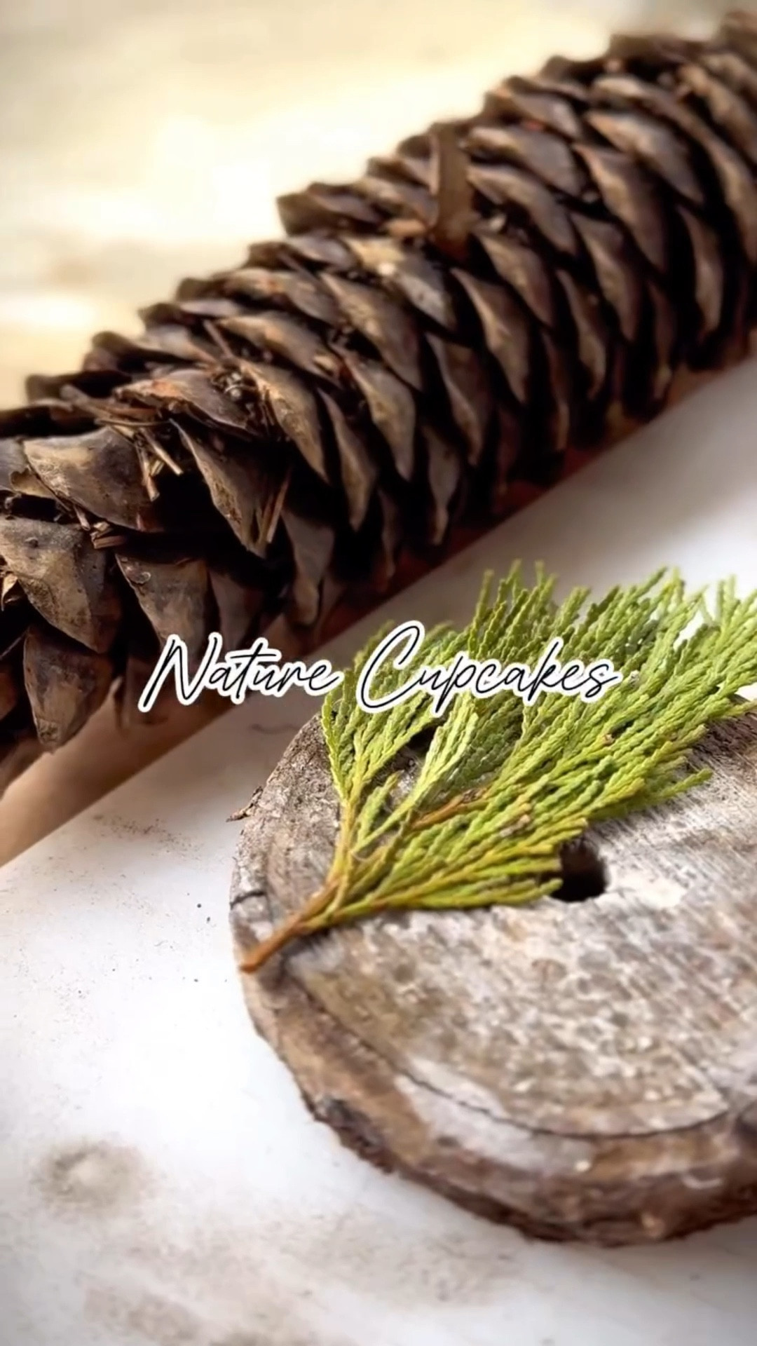 I saw leftover tree stumps at the lot and asked, “You don’t have a use for these, do you?”
Which really meant: I want them for a future project I don’t know yet.
Today it finally clicked.

The wood rounds turned into cupcake bases. Add in some pine cones and needles from our walks, and a little shaving cream. That was the whole setup. No prep bin, no instructions, no explaining.

I put it out and they took it from there.

I love setups like this because they’re basically free, easy to reset, and the kids always turn it into something way better than I planned.

#openendedplay #natureplay #sensoryplay #simpleplayideas #playbasedlearning

#LTKKids #LTKSeasonal