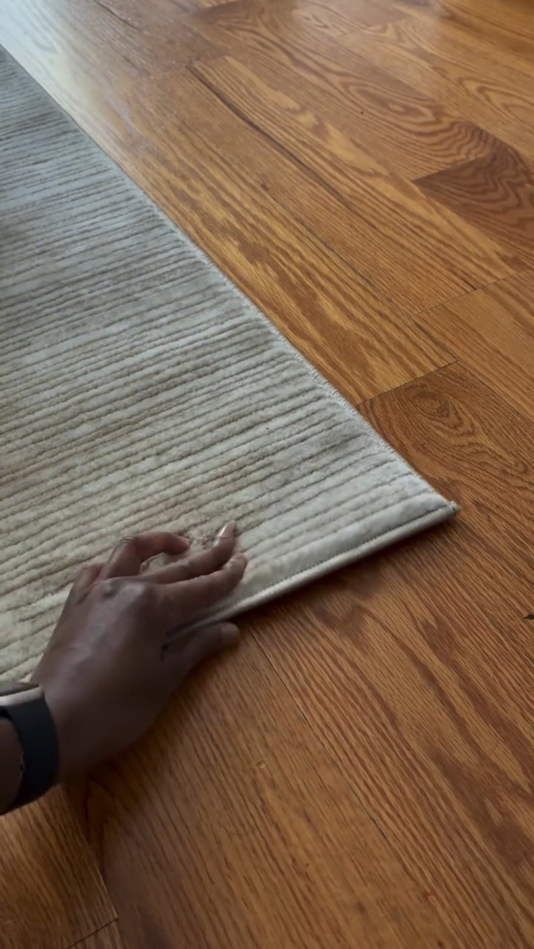 It’s all about those small changes that lead to big shift because whew! I couldn’t stand my nyc apartment for the majority of 2025🥹. 

**Btw the rug is from @Wayfair!

But that’s ok lol. Stay tuned for the closet declutetring and what that apartment transformation looks like. 

.

.
#nycapartment #smallspaceliving #nycliving #apartmentdecor #livingroomideas